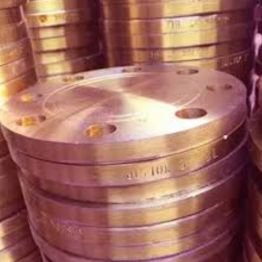  Nickel  Flange Manufacturer in India